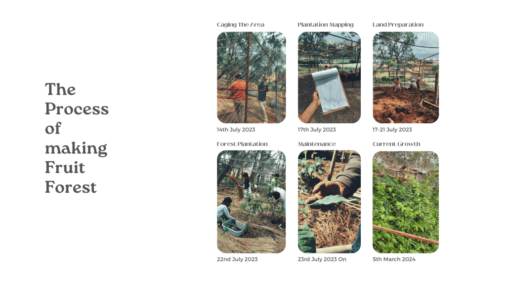 Tree plantation in Nepal | Miyawaki Method