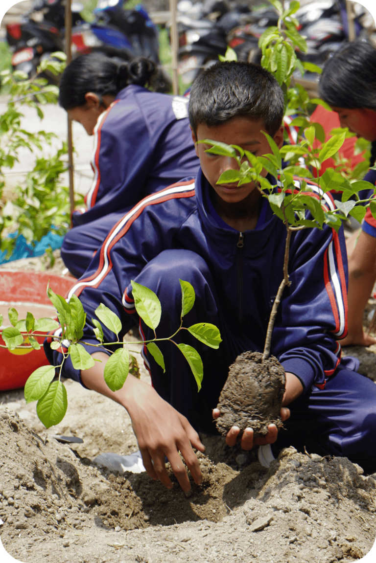 Copy of TJGIN Profile (1)e