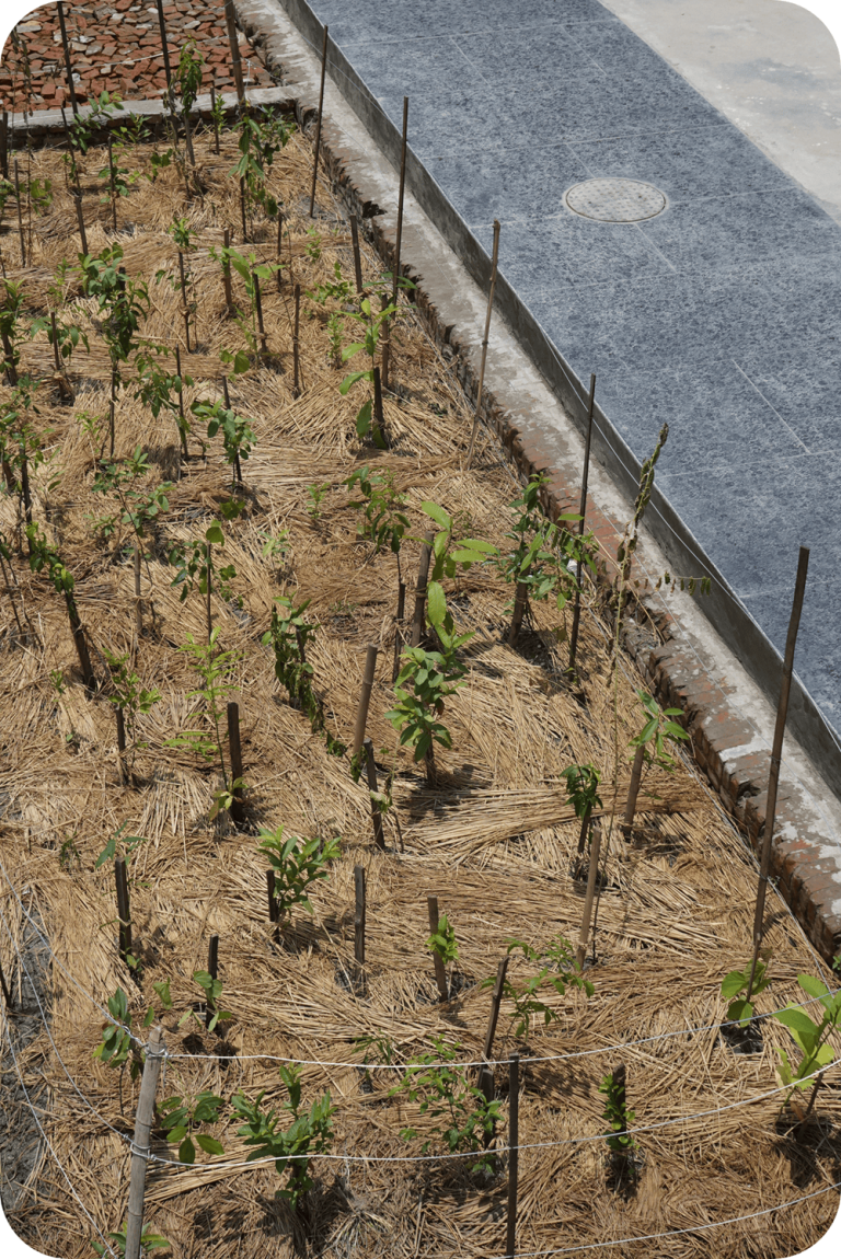 Copy of TJGIN Profile (1)er